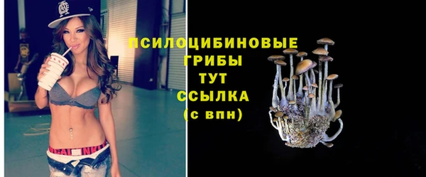 a pvp Алексеевка